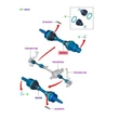 Kép 4/4 - 5345951 Ford Ranger MK3 TKE Féltengely Jobb 2.2 TDCi 3.2 TDCi 2011-2024