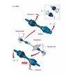 Kép 4/4 - 5345953 Ford Ranger MK3 TKE Féltengely Bal 2.2 TDCi 3.2 TDCi 2011-2024
